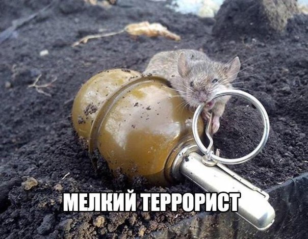 Картинки на утро вторника