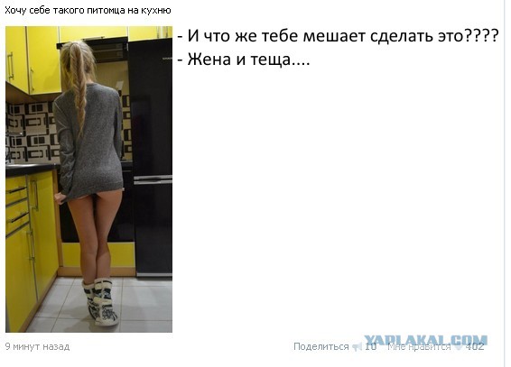 Ужасы и приколы из соцсетей 18+