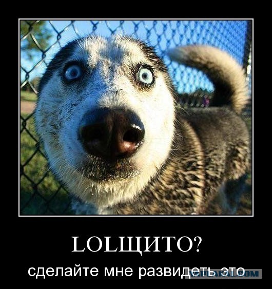 Смешные комментарии 31.01.2016