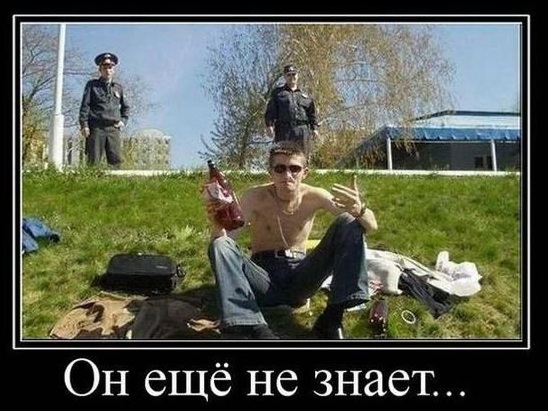 Подборка картинок