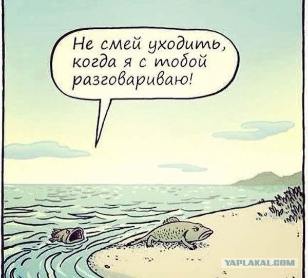 Разрядка. Подборка несерьезного