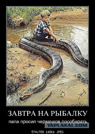 Демотиваторы на пятницу!
