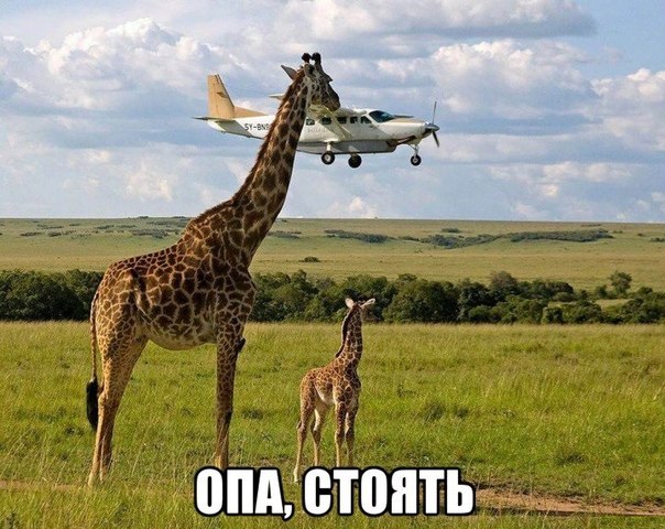 Картинки из сети, подборка на пятницу.