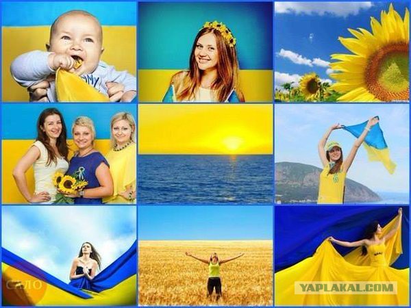 Утро 16 марта 2014 г.
