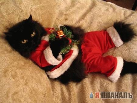 Праздничное зверье