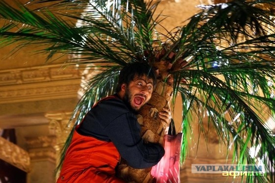 Власть и труд