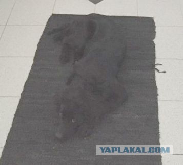 Подборка интересных и веселых картинок