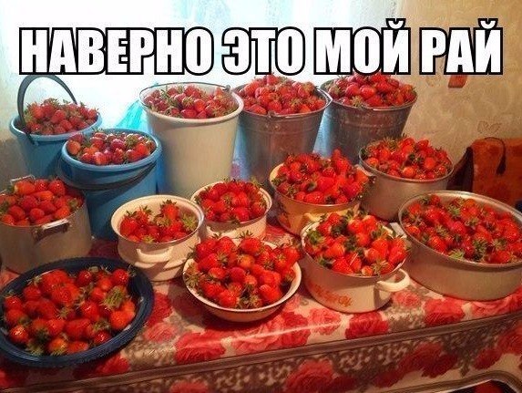 Картинки разные