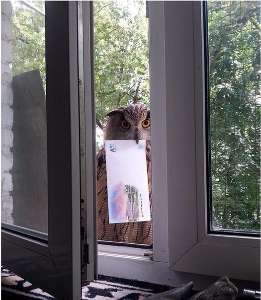 Божьи твари