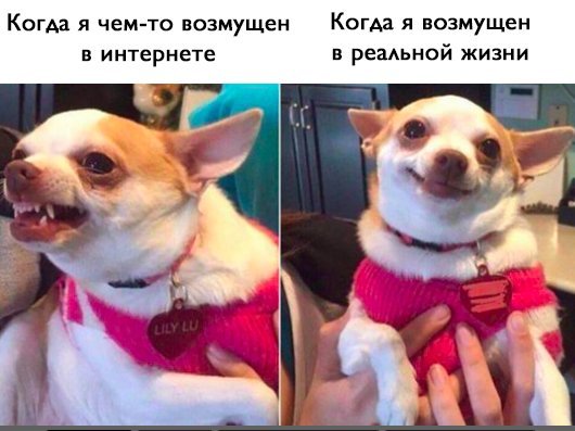 Подборка интересных и смешных картинок