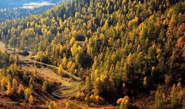 Картинки для отдыха глаз