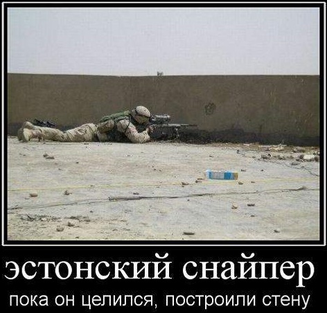 День независимости Эстонии. Военный парад 2017