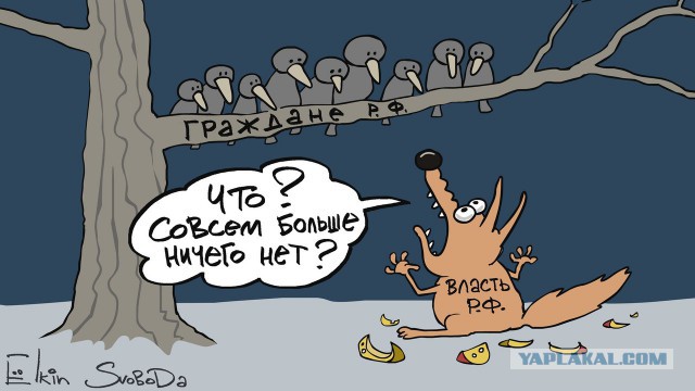 В чью пользу государство экономит на народе