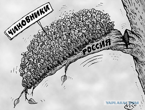 Ударим карикатурой по бюрократии.