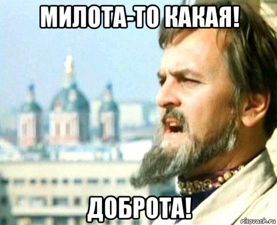 В Челябинске ради спасения котёнка демонтировали фонарный столб