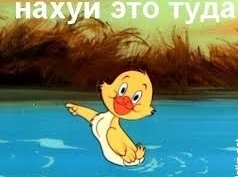 Хитрюга