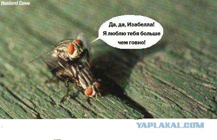 Парень "пустил шептуна" первый раз при своей девушке