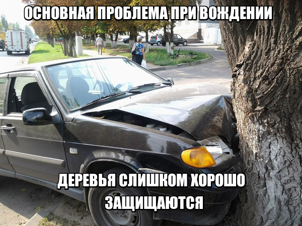 24 картинки с надписями на разные темы-2