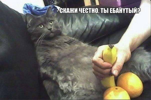 Немного картинок в эту среду