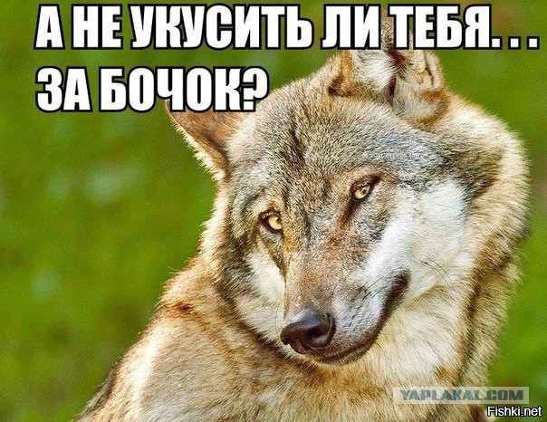 А не колобок ли ты часом?