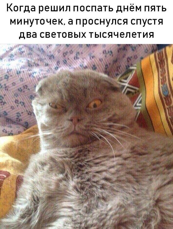 Прикольные картинки абавсём