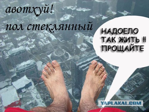 Фотожаба: Как я провел лето