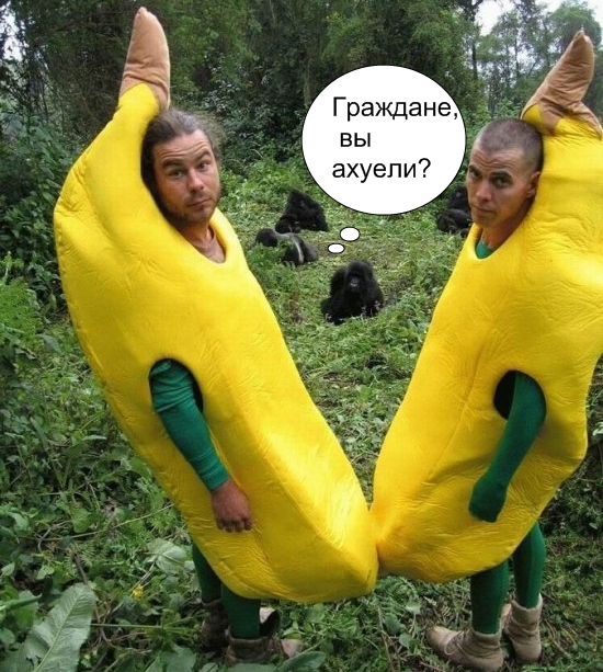 Друзья обезьян