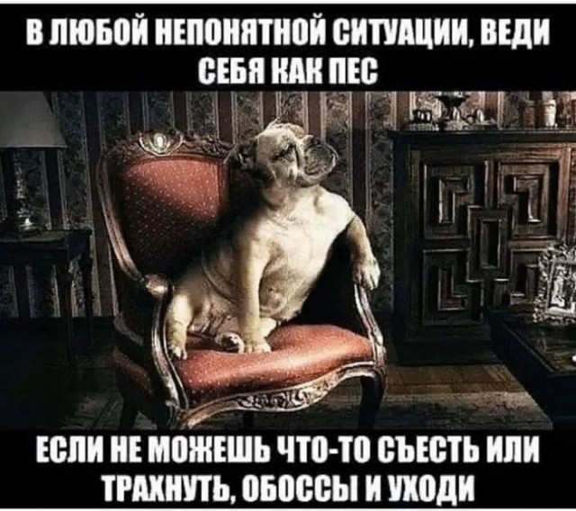 Бредзона 01.09.2020
