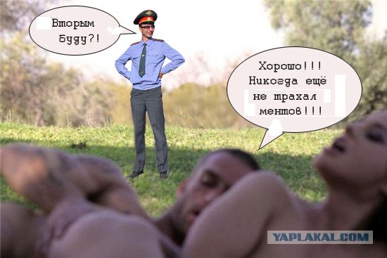 Фотожаба: Тут медвед не проходил?