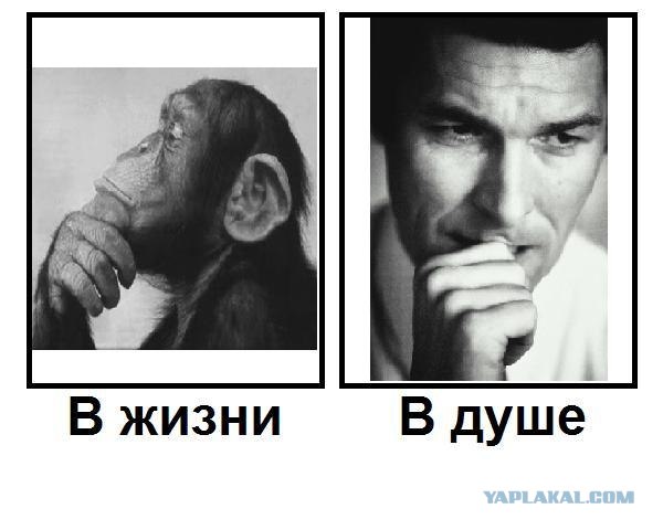 Кто есть кто?