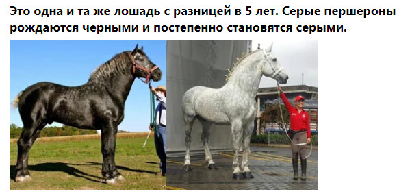 Фото-винегрет-2. Картинки ниапчём и обо всём
