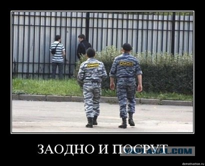 Троллинг полиции