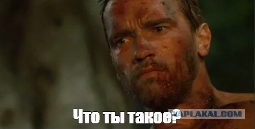 Это слишком!