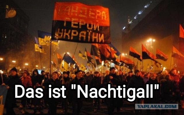 "Вот двор, через который мы ходили. Просто поле боя"