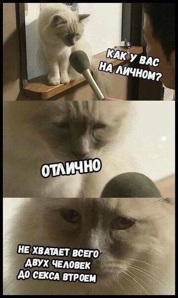 Немного мемчиков. Часть 1