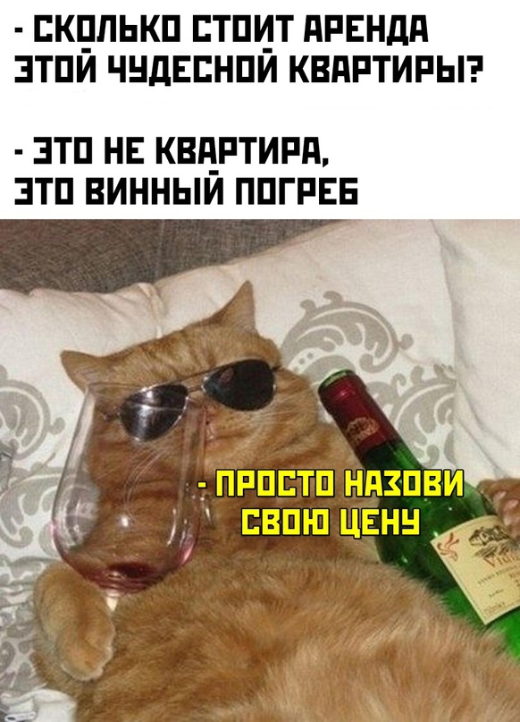 Весёлый полтишок 16.07.23