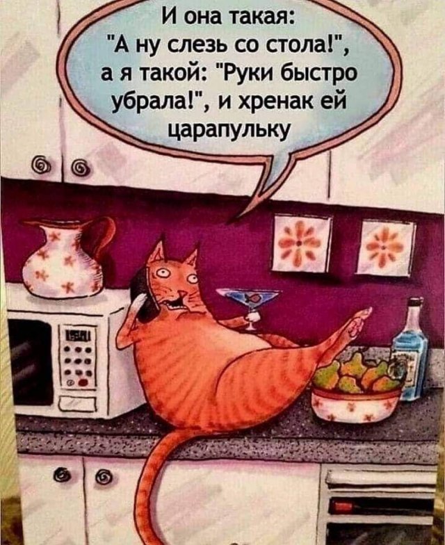 Так себе картинки 07.07.24