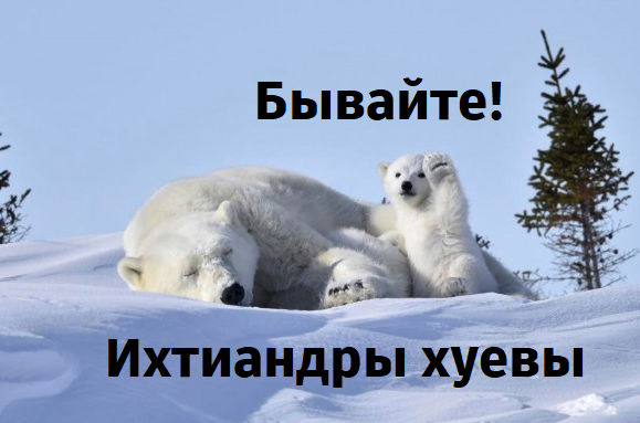 Победители и финалисты премии Wildlife Comedy Photography Awards в области фотографии дикой природы (2016)