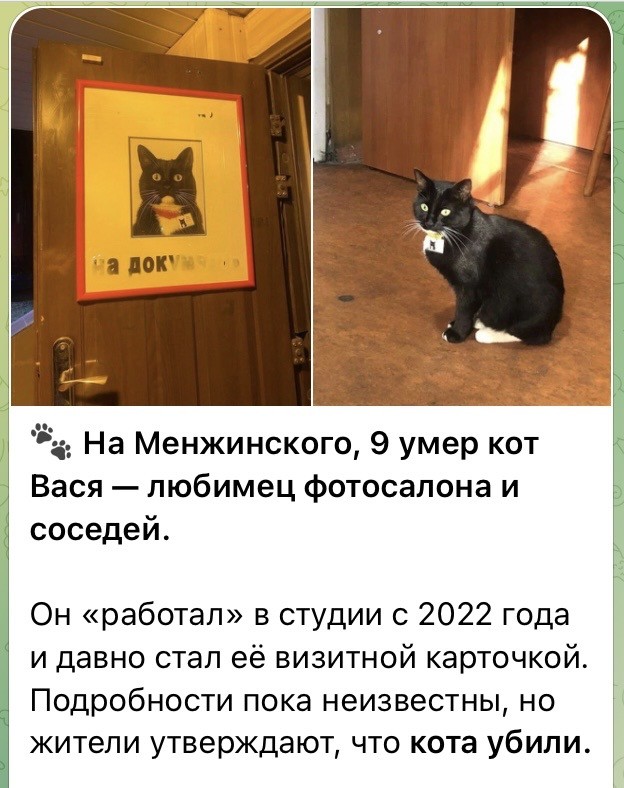 У Василия ДР
