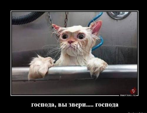 Почти съеб@лся , поймал кожанный.