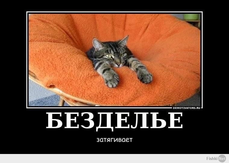 Пришла из магазина и разбудила лентяя Пришла из магазина и разбудила лентяя