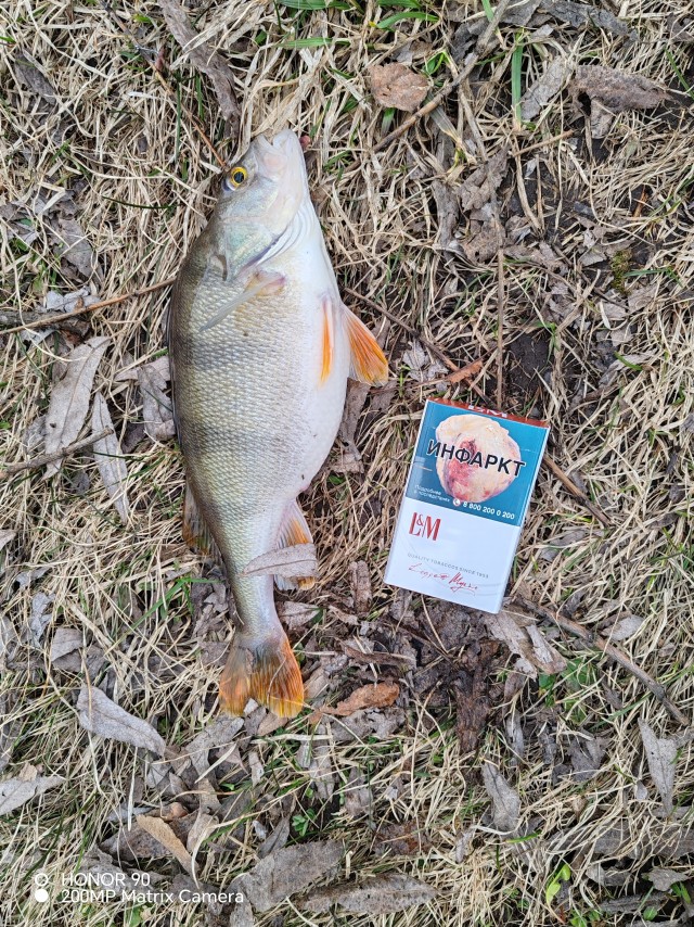 Весна пришла, печаль принесла.