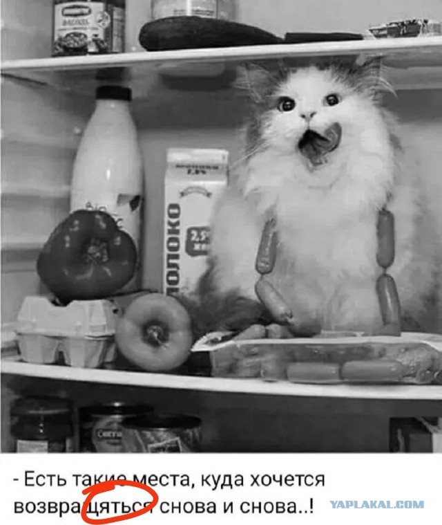 Так себе картинки 21.06.26