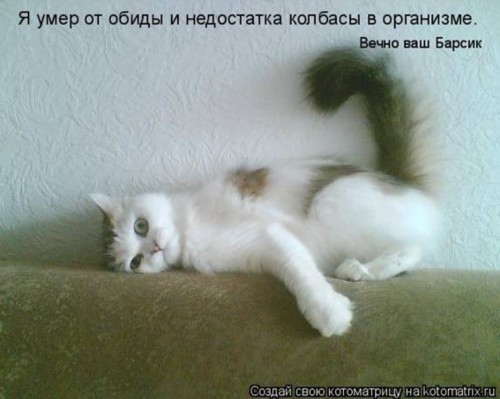 Подборка прикольных фото.