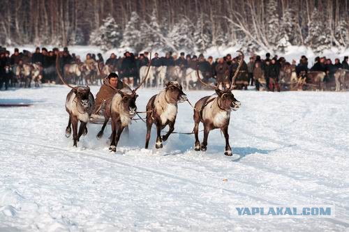Люблю свой кусочек Рая на земле...