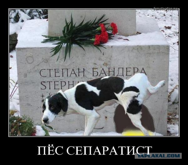 Демотиваторов пост, добавляйте свои