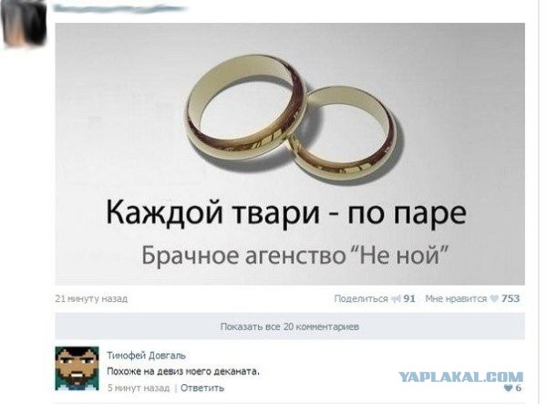 "Комментарии из соц.сетей"