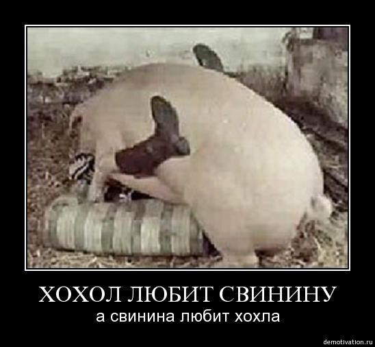 Украинские приколы.