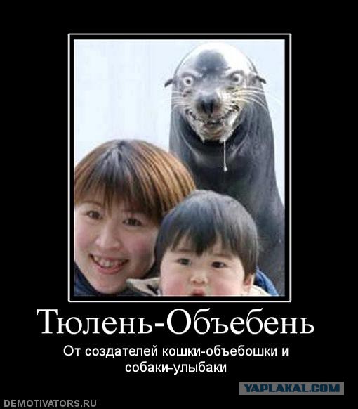 Коварные животные и их планы
