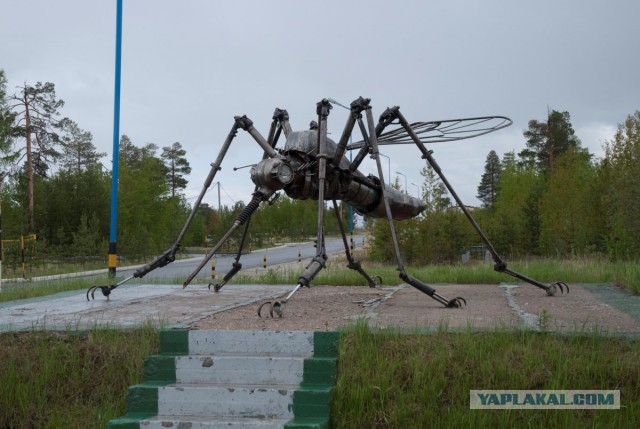 Дары Севера